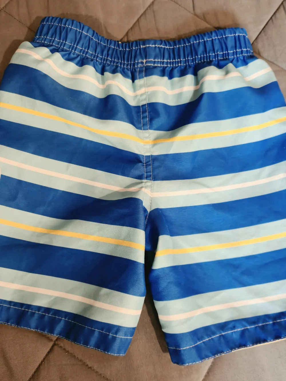 Nickelodeon Blue Stripe Boys Swim Trunks with Blue's Clues Graphic